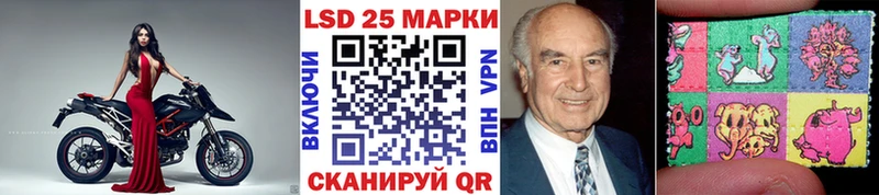 блэк спрут tor  Котельники  Марки N-bome 1,5мг 