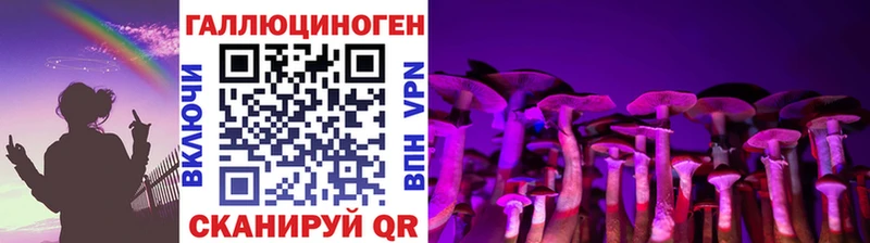 купить наркотики цена  Котельники  Галлюциногенные грибы Psilocybe 