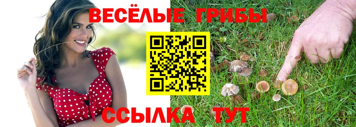 Галлюциногенные грибы GOLDEN TEACHER Котельники
