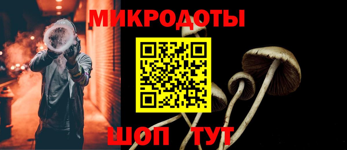 Котельники  Галлюциногенные грибы Psilocybine cubensis  как найти закладки  Вход с VPN 